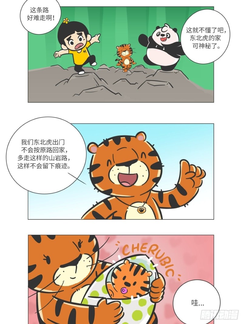 熊貓君和黃逗菌可持續生活志II - 第6話 森林之王“虎威威” - 2