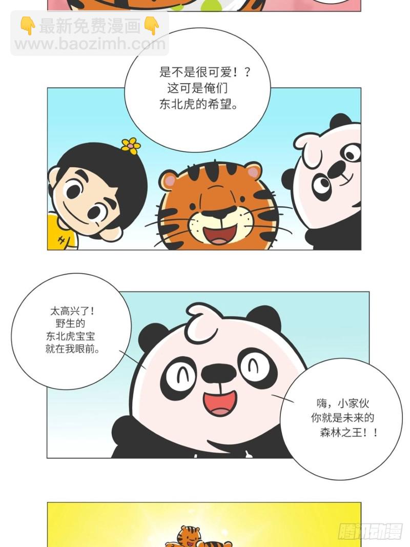 熊猫君和黄逗菌可持续生活志II - 第6话 森林之王“虎威威” - 3