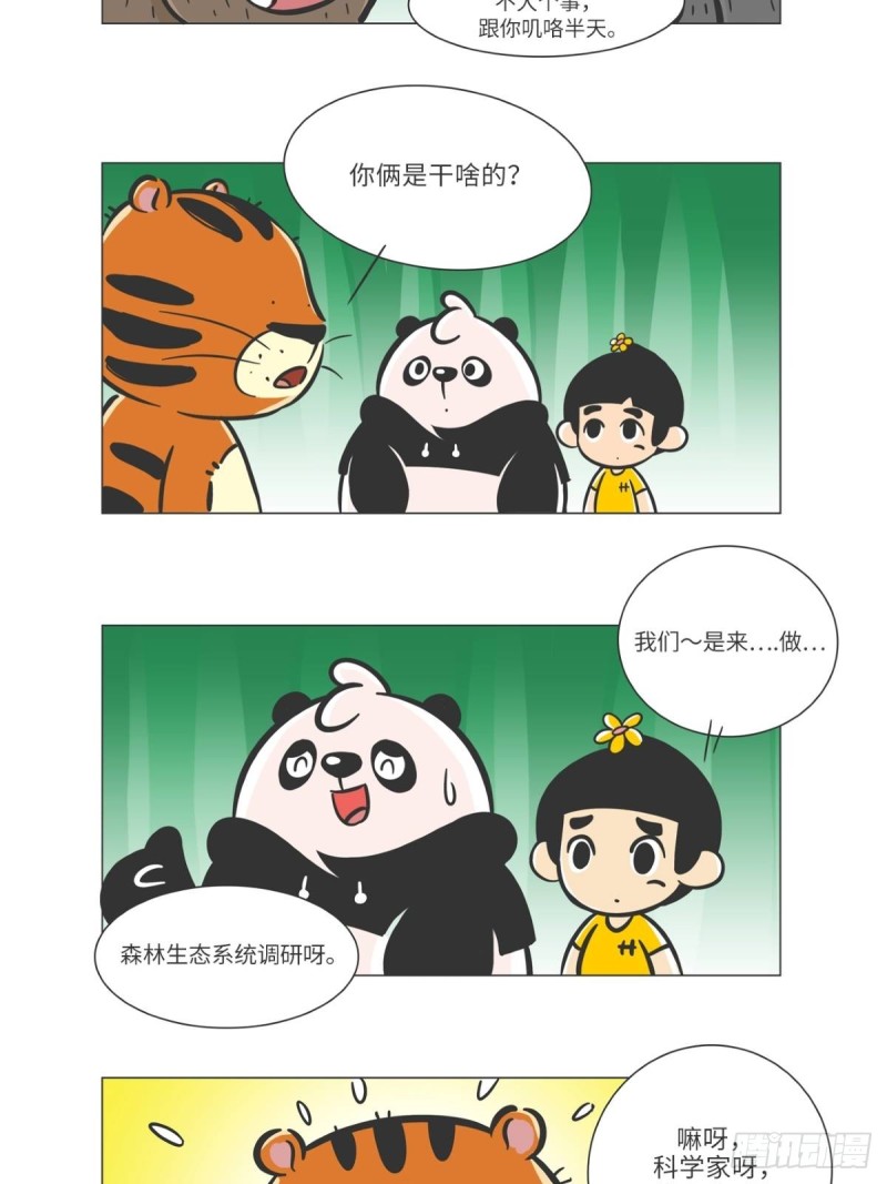 熊猫君和黄逗菌可持续生活志II - 第6话 森林之王“虎威威” - 2