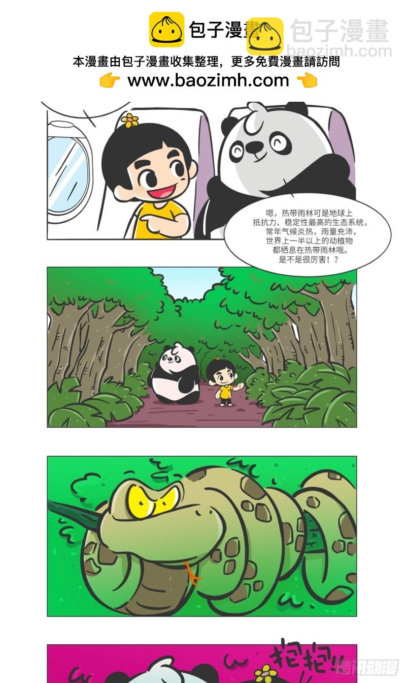 熊貓君和黃逗菌可持續生活志II - 第7話 雨林深處的王者“努卡” - 2
