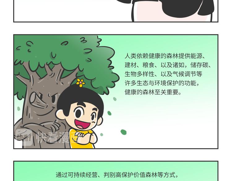 科普番外&mdash;&mdash;健康的森林-第13话