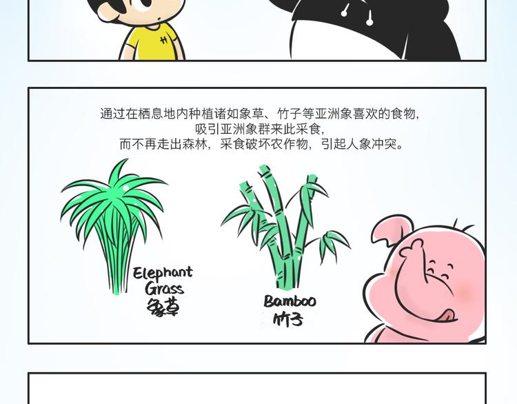 什么是大象食堂？1