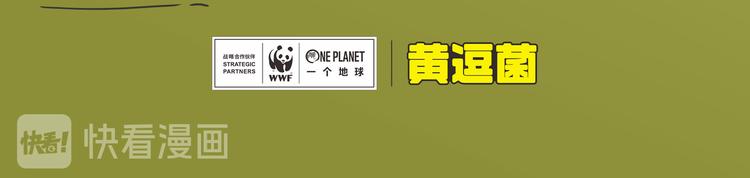 科普番外&mdash;&mdash;新西兰的几维鸟-第21话