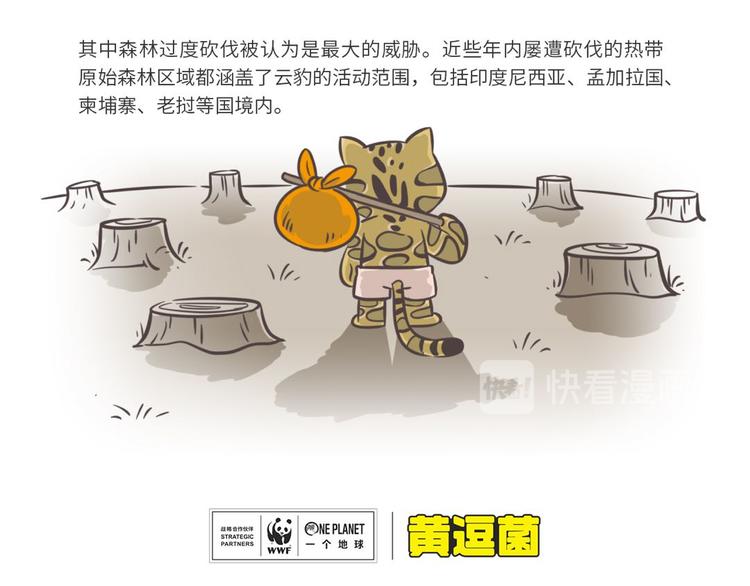 科普番外&mdash;&mdash;印度尼西亚&ldquo;云豹&rdquo;-第23话