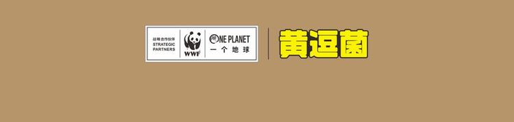 科普番外&mdash;&mdash;印度尼西亚&ldquo;云豹&rdquo;-第23话