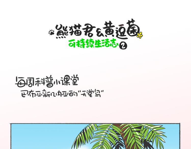 科普番外&mdash;&mdash;&ldquo;天堂鸟&rdquo;在哪里-第25话