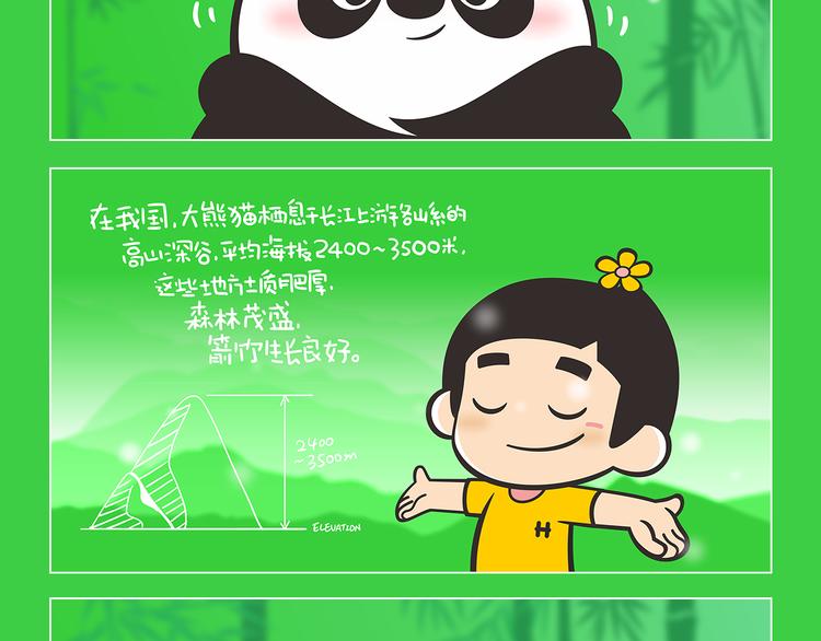 熊貓君&黃逗菌可持續生活志第二季 - 科普番外——什麼是傘護種？ - 1