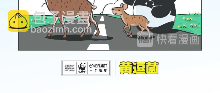 熊貓君&黃逗菌可持續生活志第二季 - 科普番外——藏羚羊的遷徙之旅 - 1