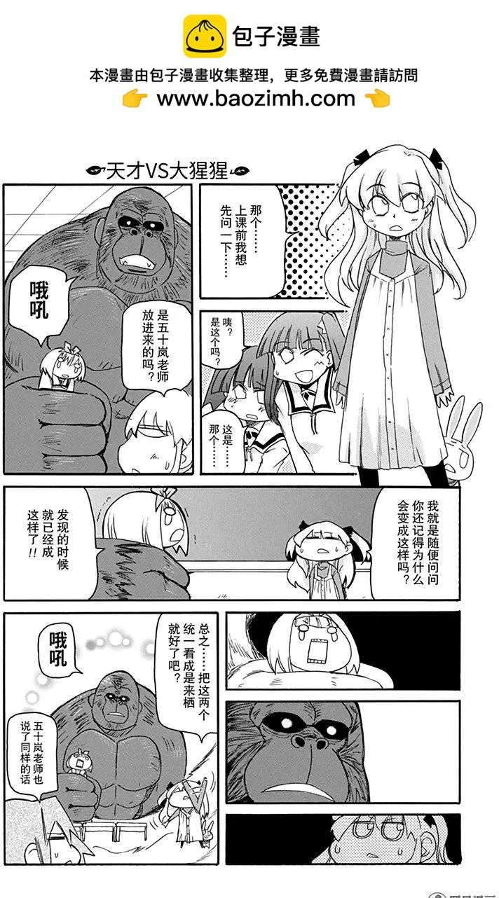 嬉皮笑園 - 第137回 來棲VS大猩猩 - 2