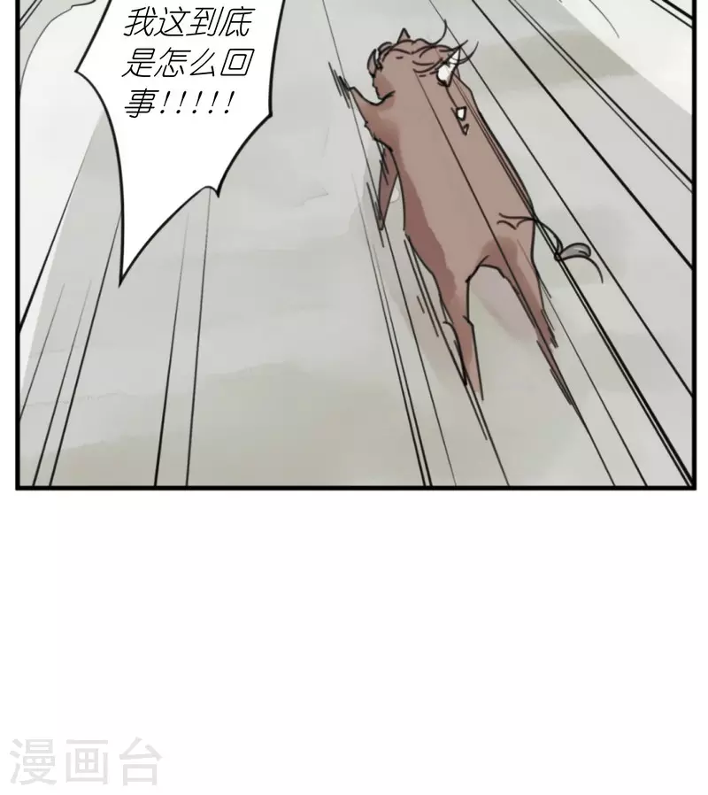 第1话 我叫王希-第1话