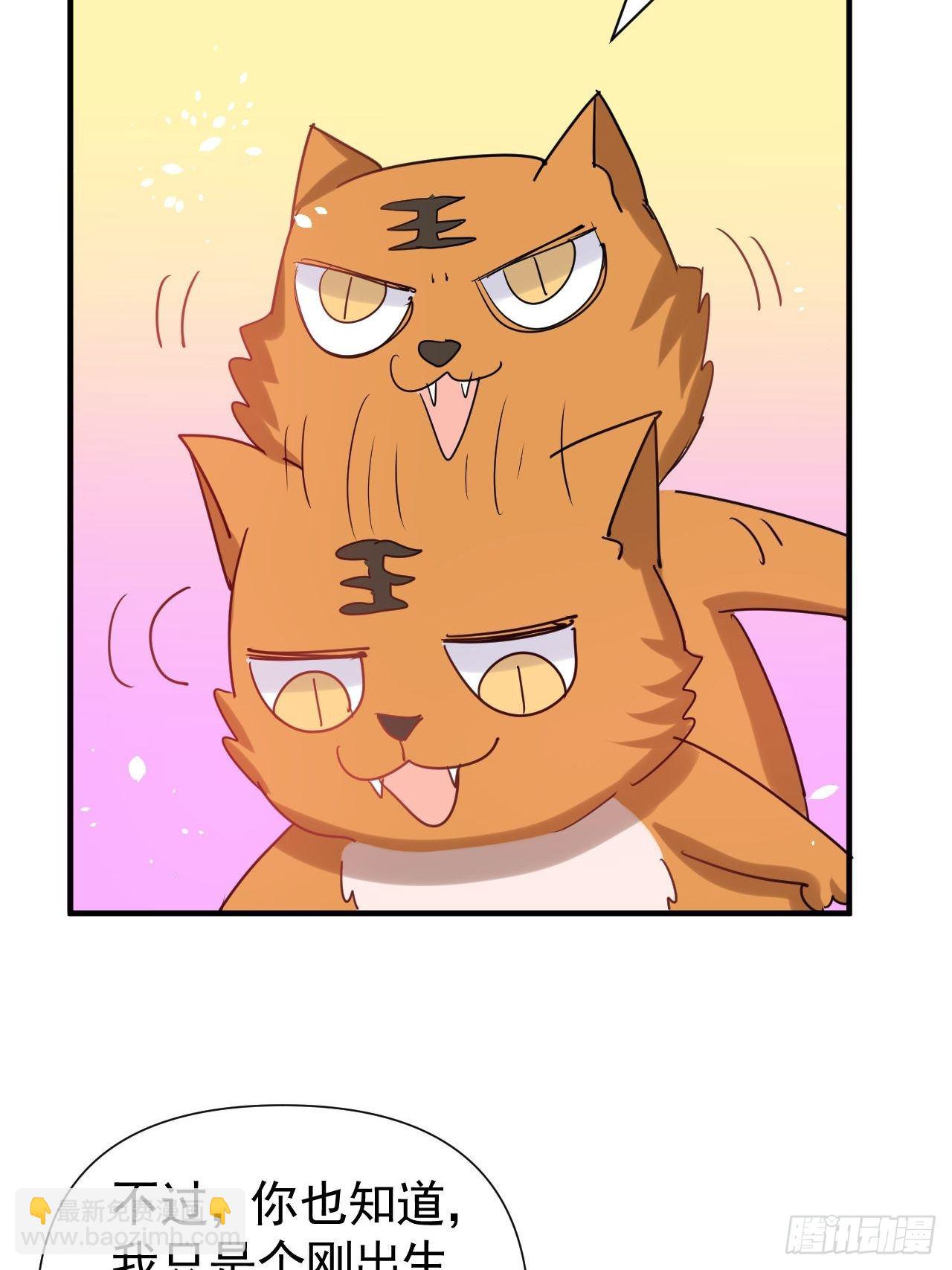 第116话 契约交换-第117话