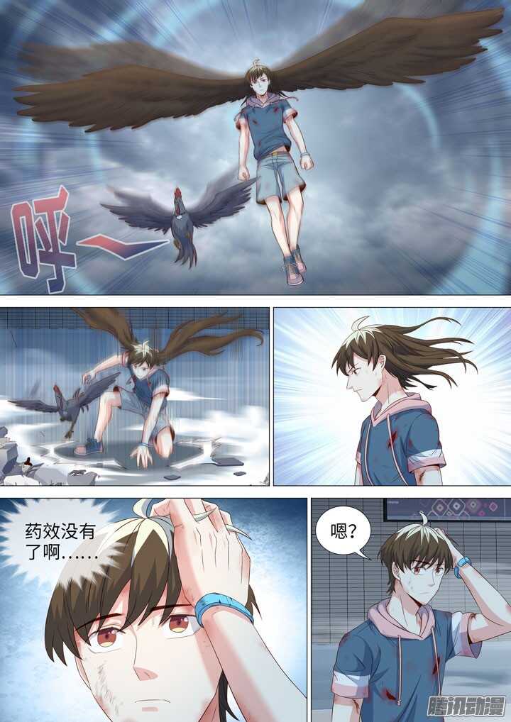 177.天降之鸟人-第177话