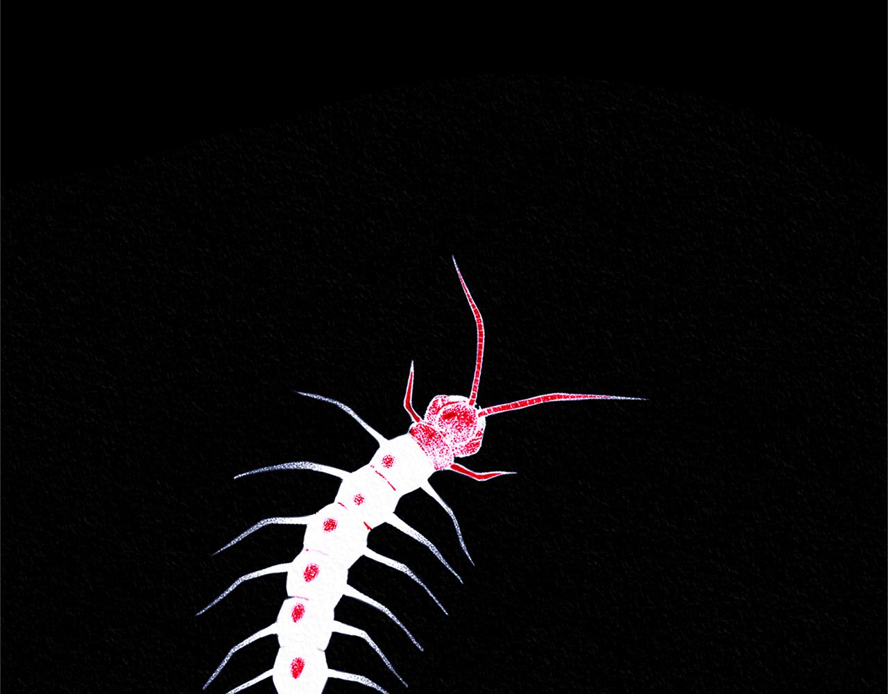 番外一 流沙兰的故事(1/5)-第95话