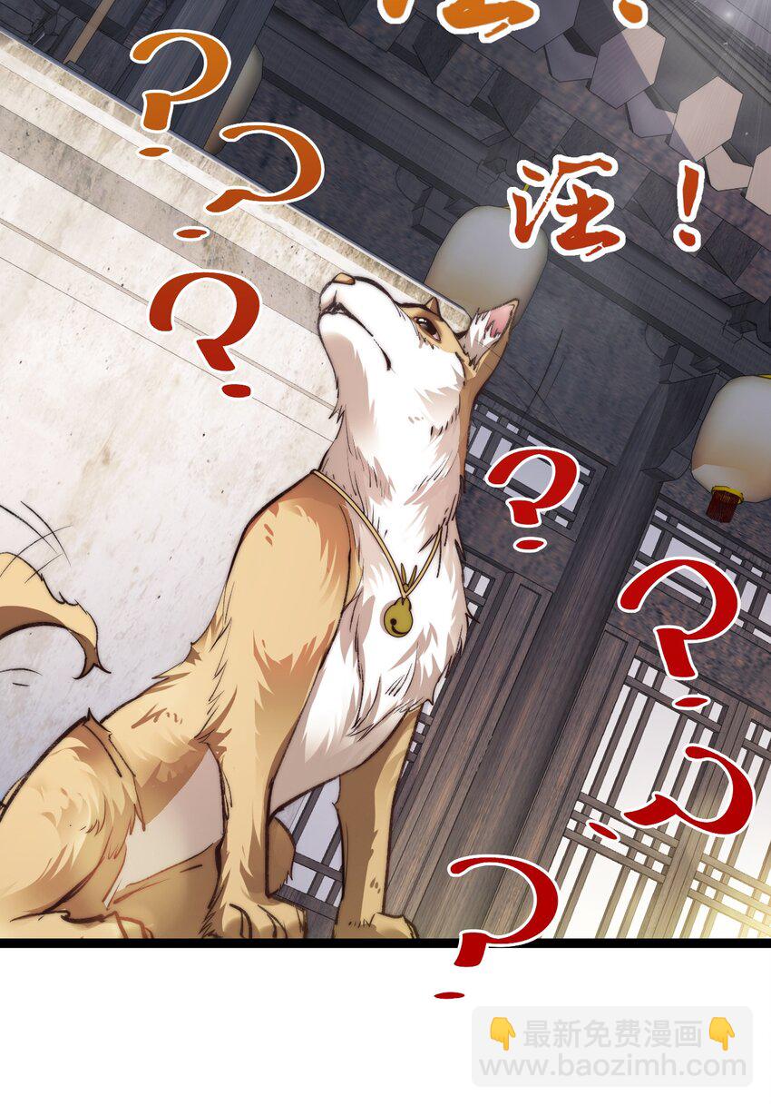 009 是谁在狗叫？-第9话