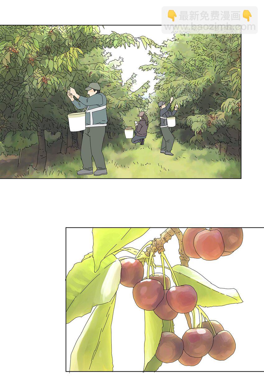 27 生日愿望-第27话