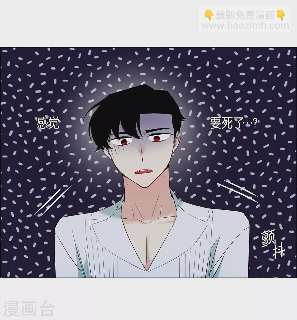 第15话 只有空壳(1/2)-第15话