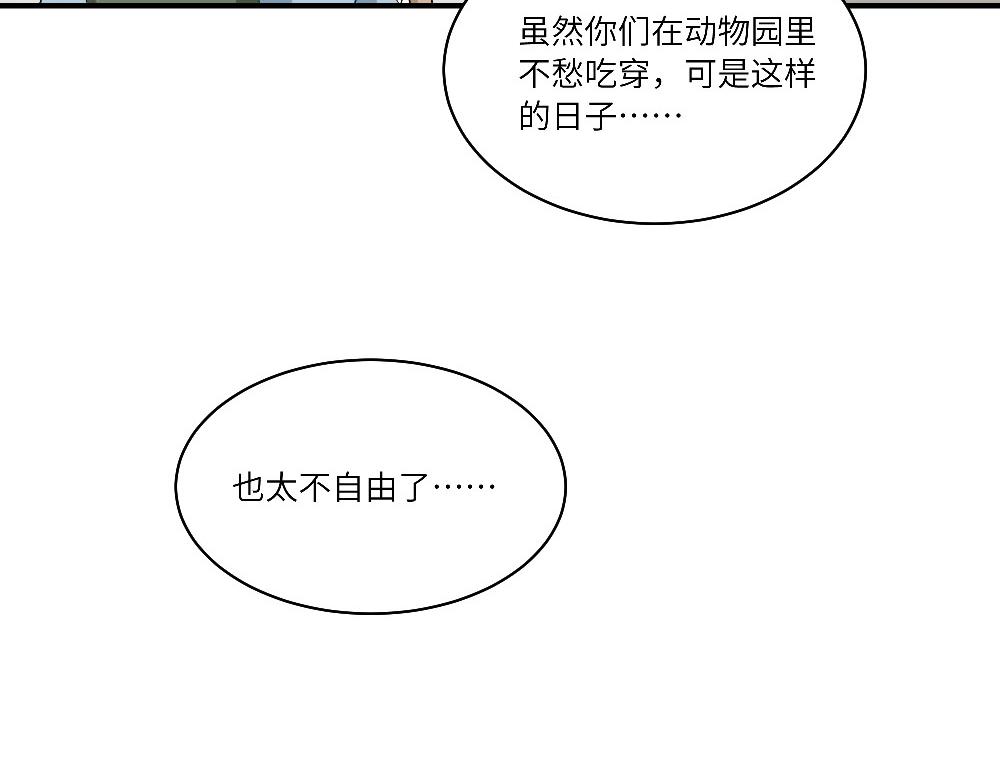 西子路的鎮宅獸 - 第13話 動物園的神秘遊客 - 1