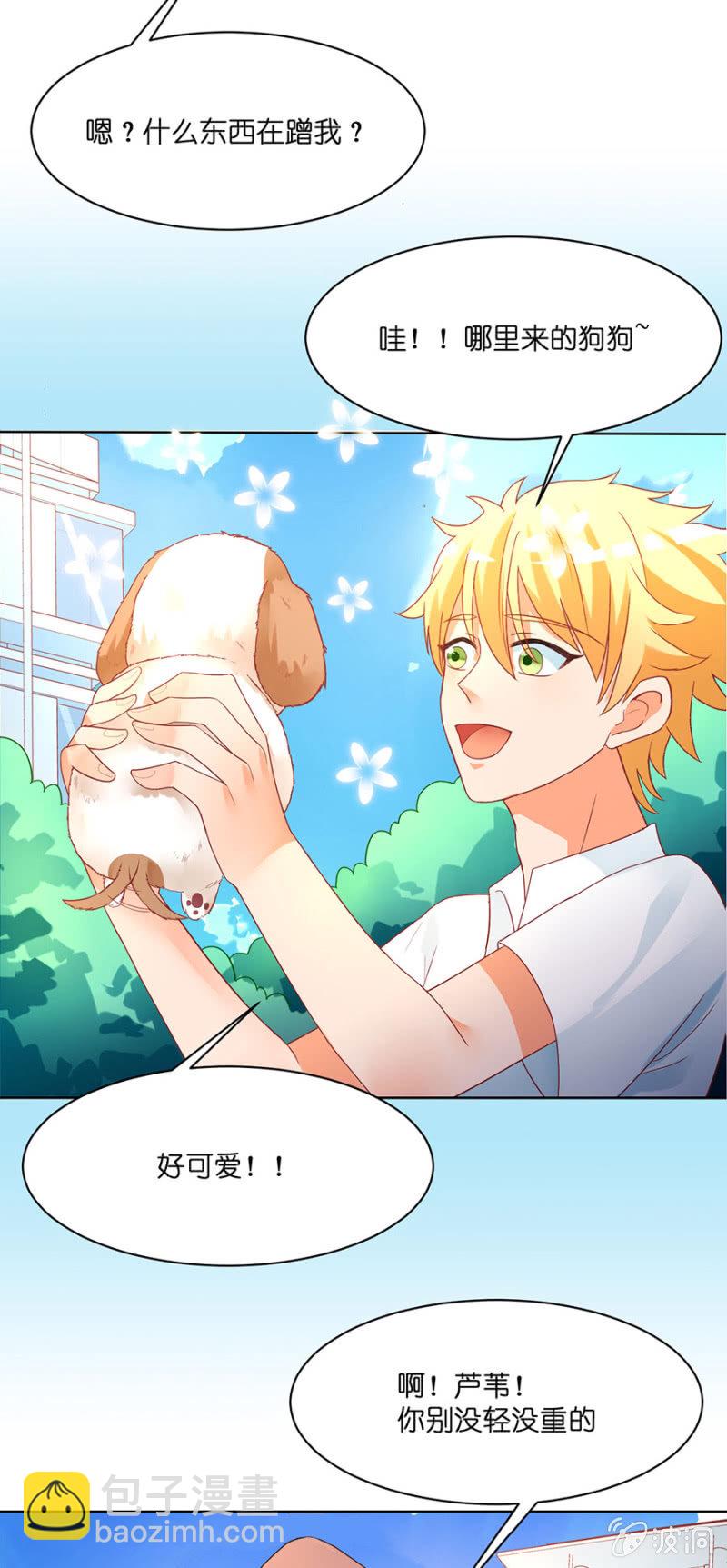 第五十五集 芦苇、单身、狗-第55话