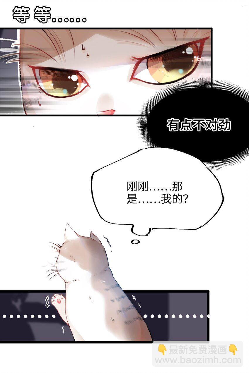 001 突然变成毛绒绒&hellip;&hellip;-第1话