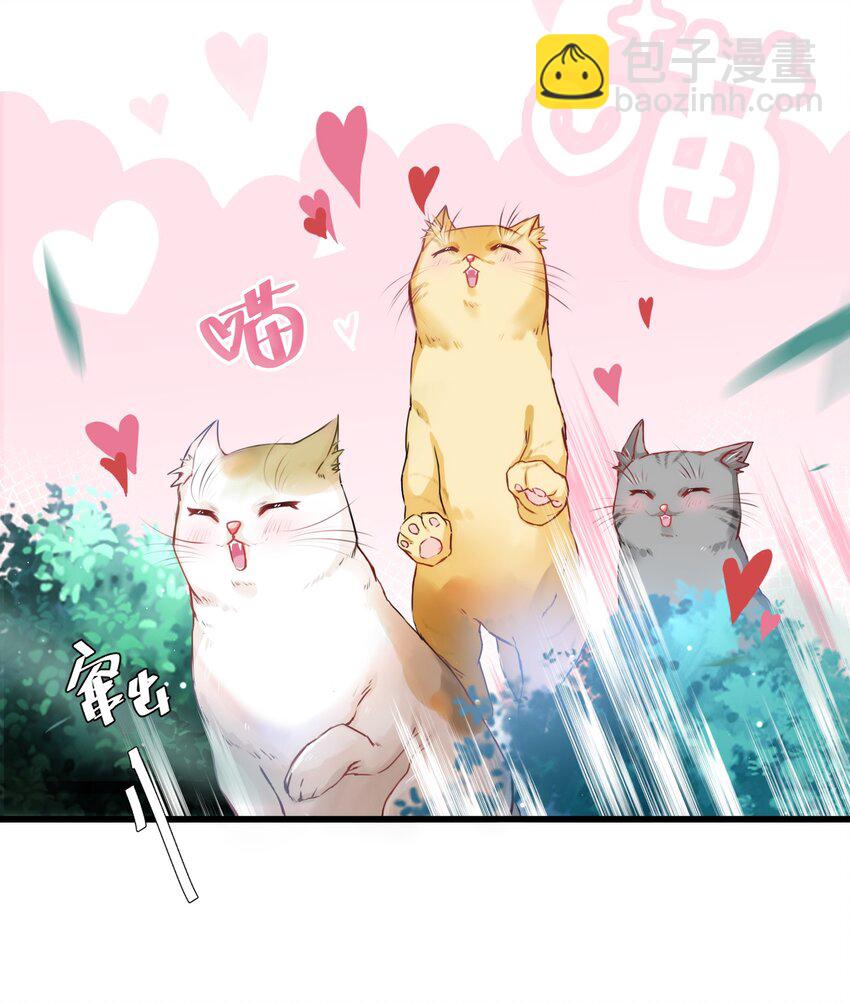 001 突然变成毛绒绒&hellip;&hellip;-第1话