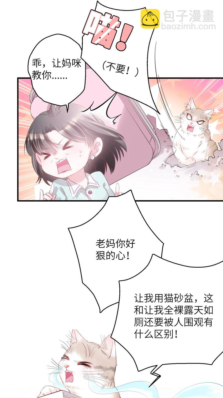 003 晏家的绝后危机？！-第3话