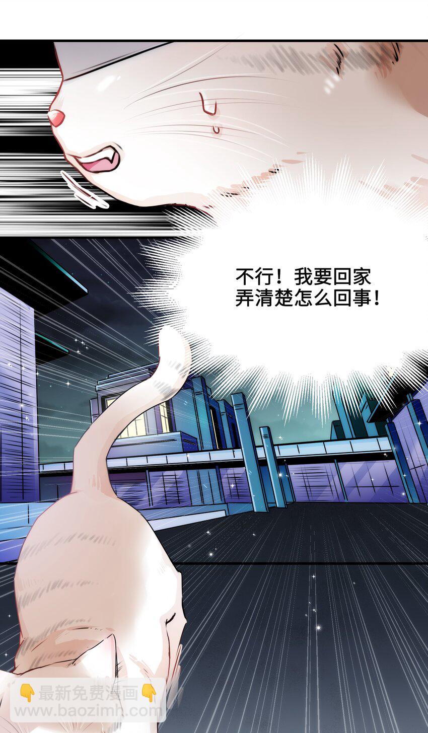 003 晏家的绝后危机？！-第3话