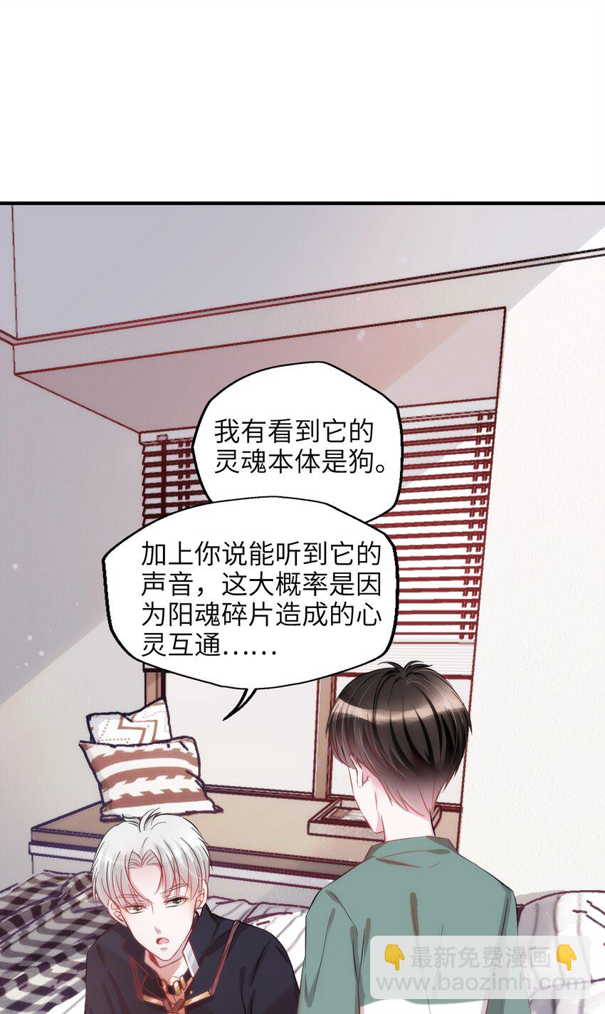 005 什么！居然是狗......-第5话