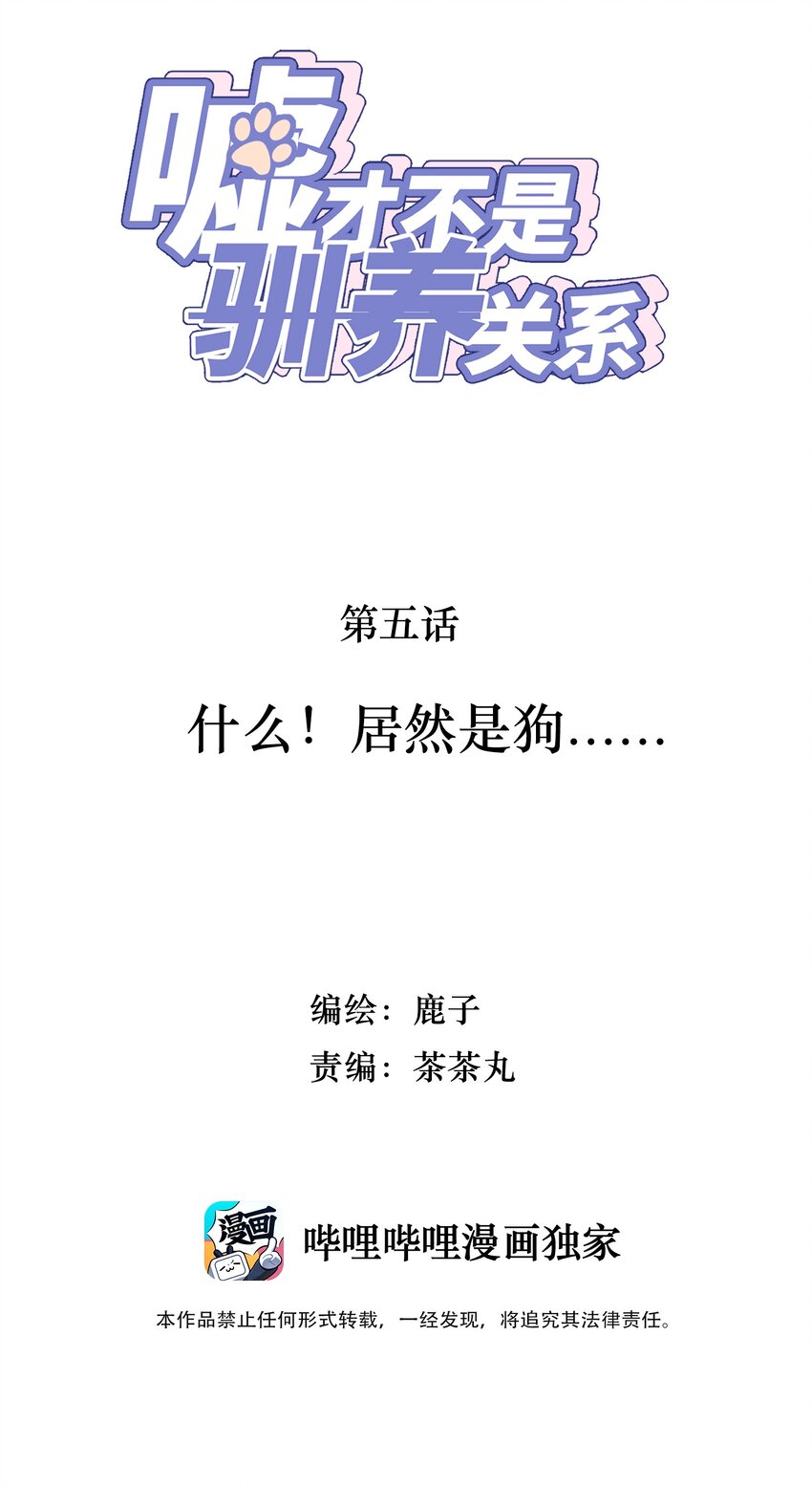 005 什么！居然是狗......-第5话
