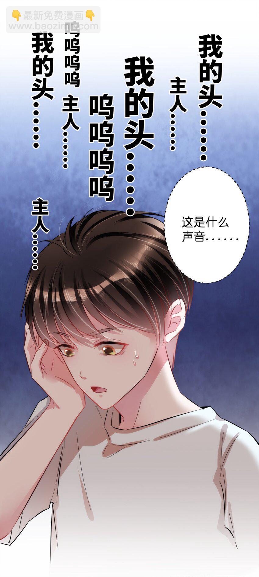 005 什么！居然是狗......-第5话