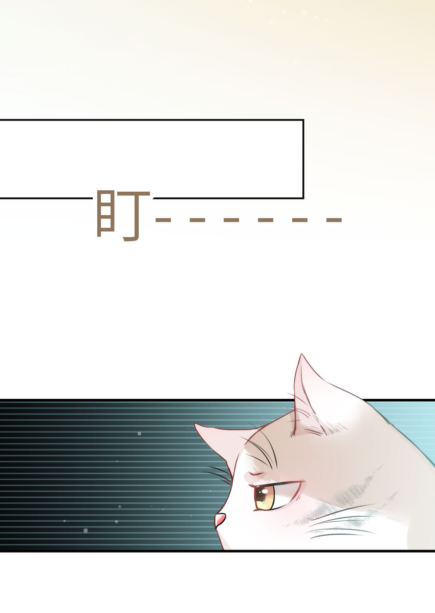 009 猫届女装大佬是小偷？-第9话