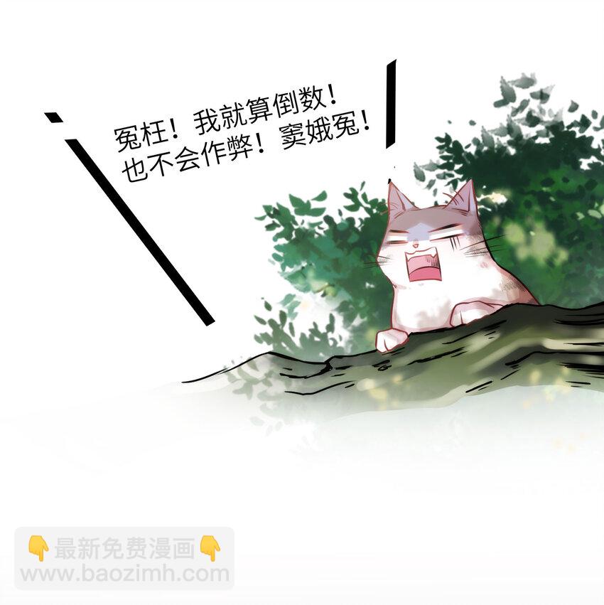 009 猫届女装大佬是小偷？-第9话