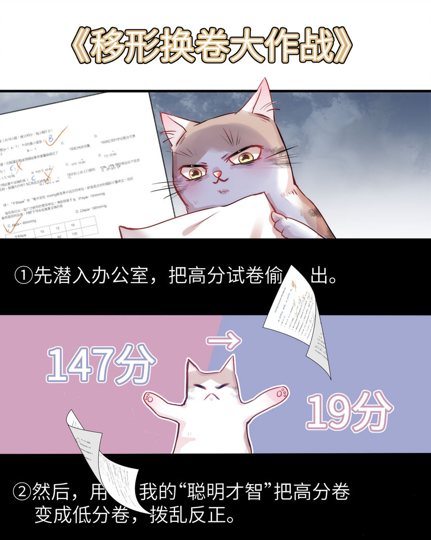 009 猫届女装大佬是小偷？-第9话