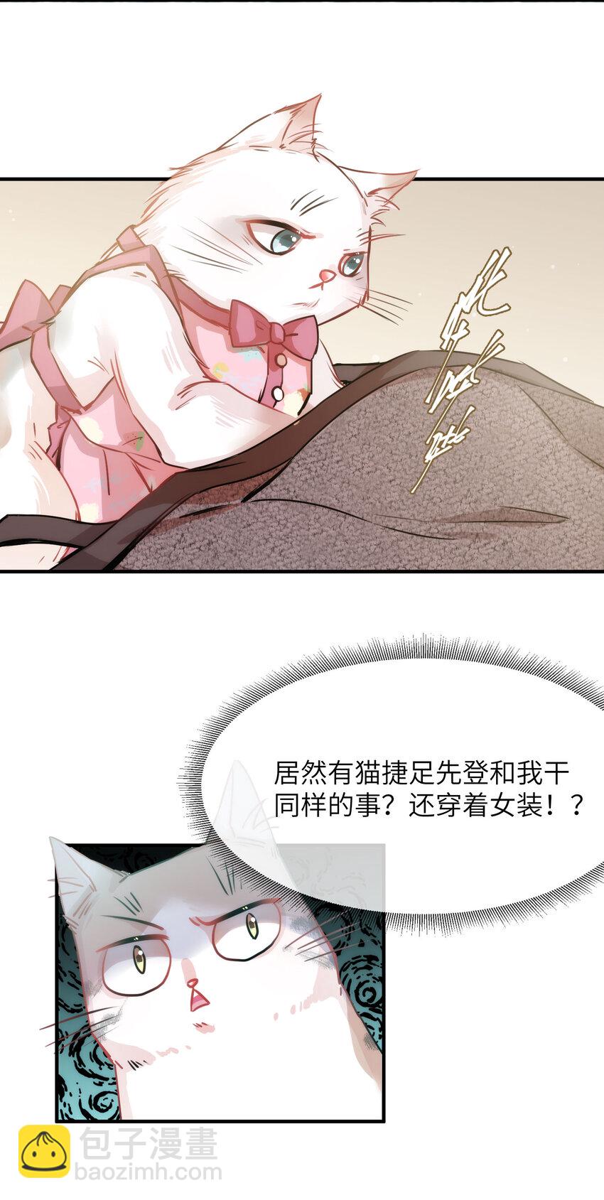 009 猫届女装大佬是小偷？-第9话