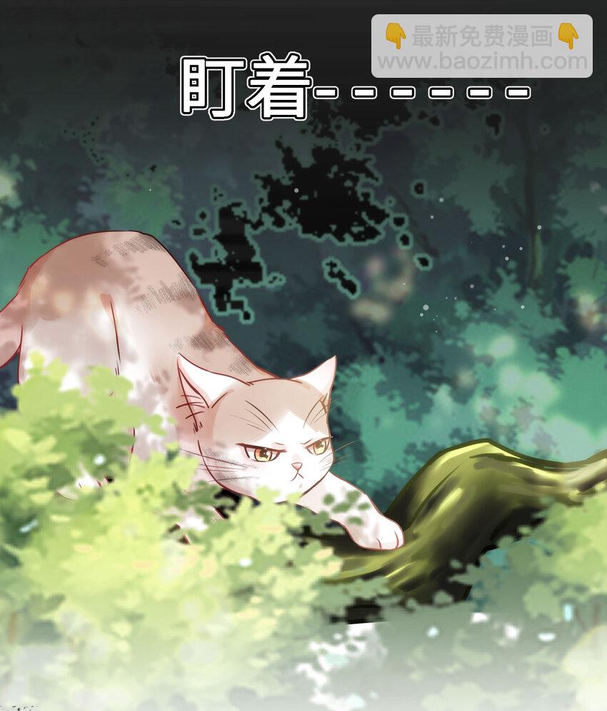 009 猫届女装大佬是小偷？-第9话