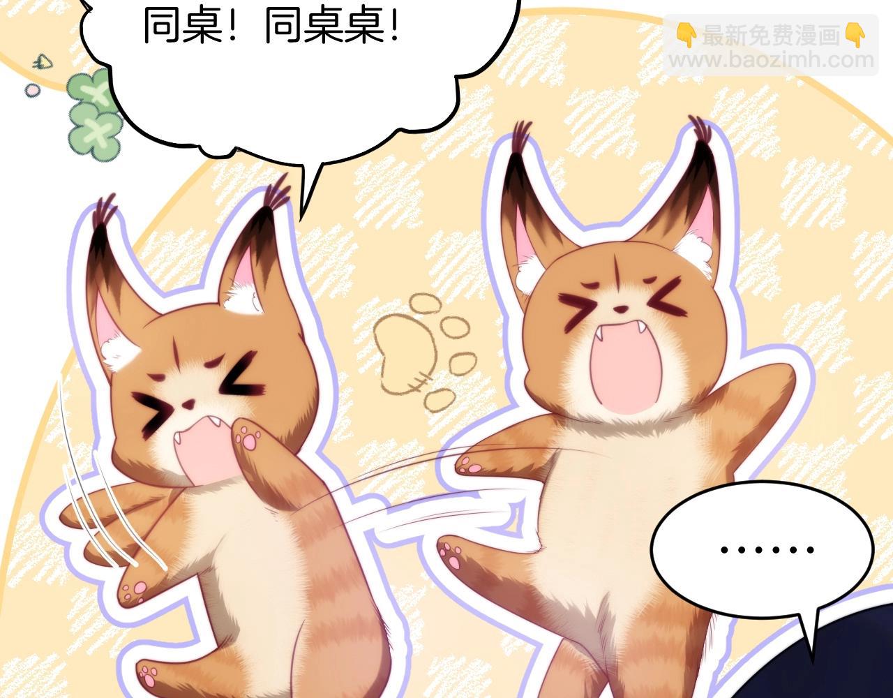 第12话 猫猫撒娇(1/3)-第13话