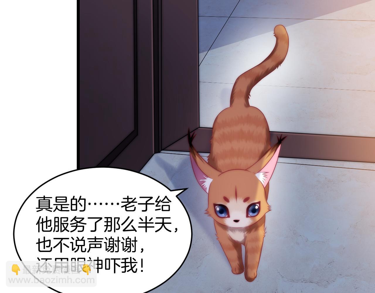 第16话 半夜吸猫(1/2)-第17话