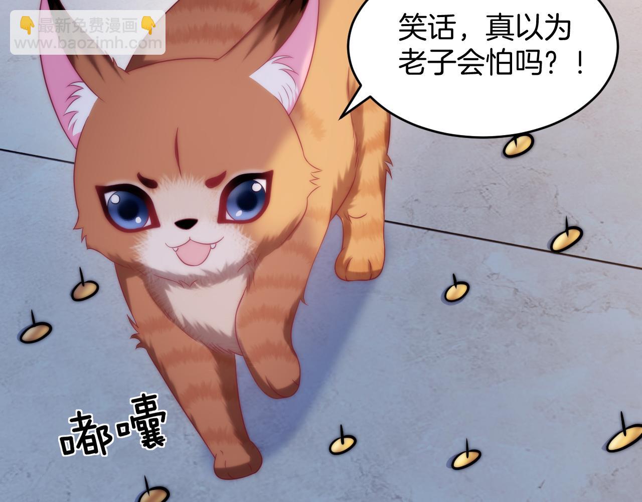 第16话 半夜吸猫(1/2)-第17话