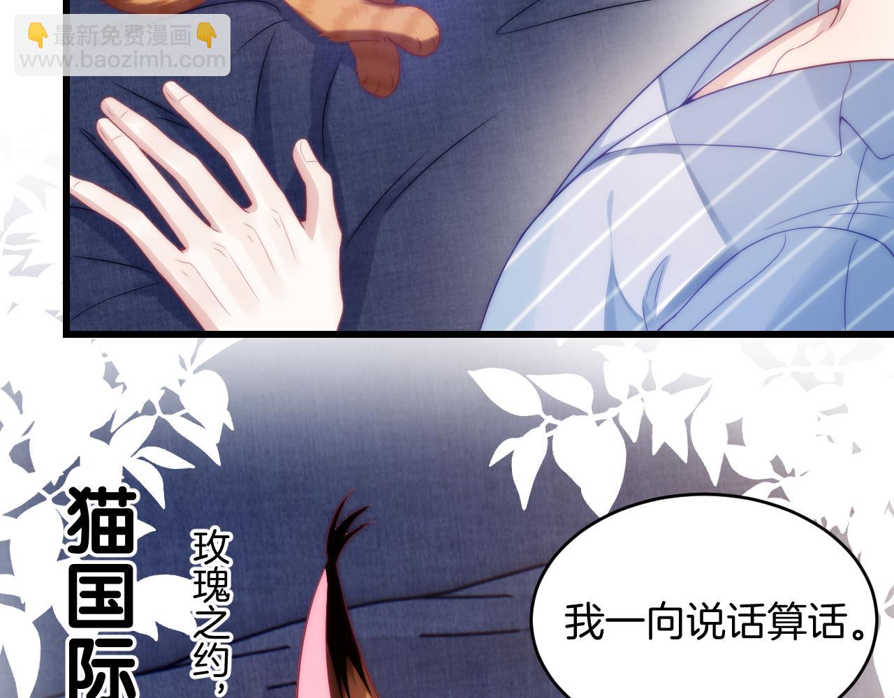 第16话 半夜吸猫(1/2)-第17话