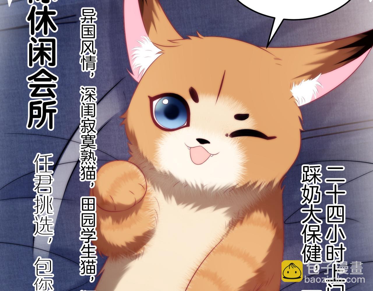 第16话 半夜吸猫(1/2)-第17话
