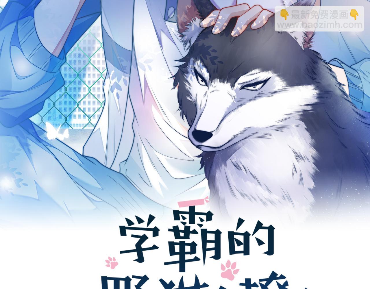 第46话  我的朋友我来护(1/3)-第47话