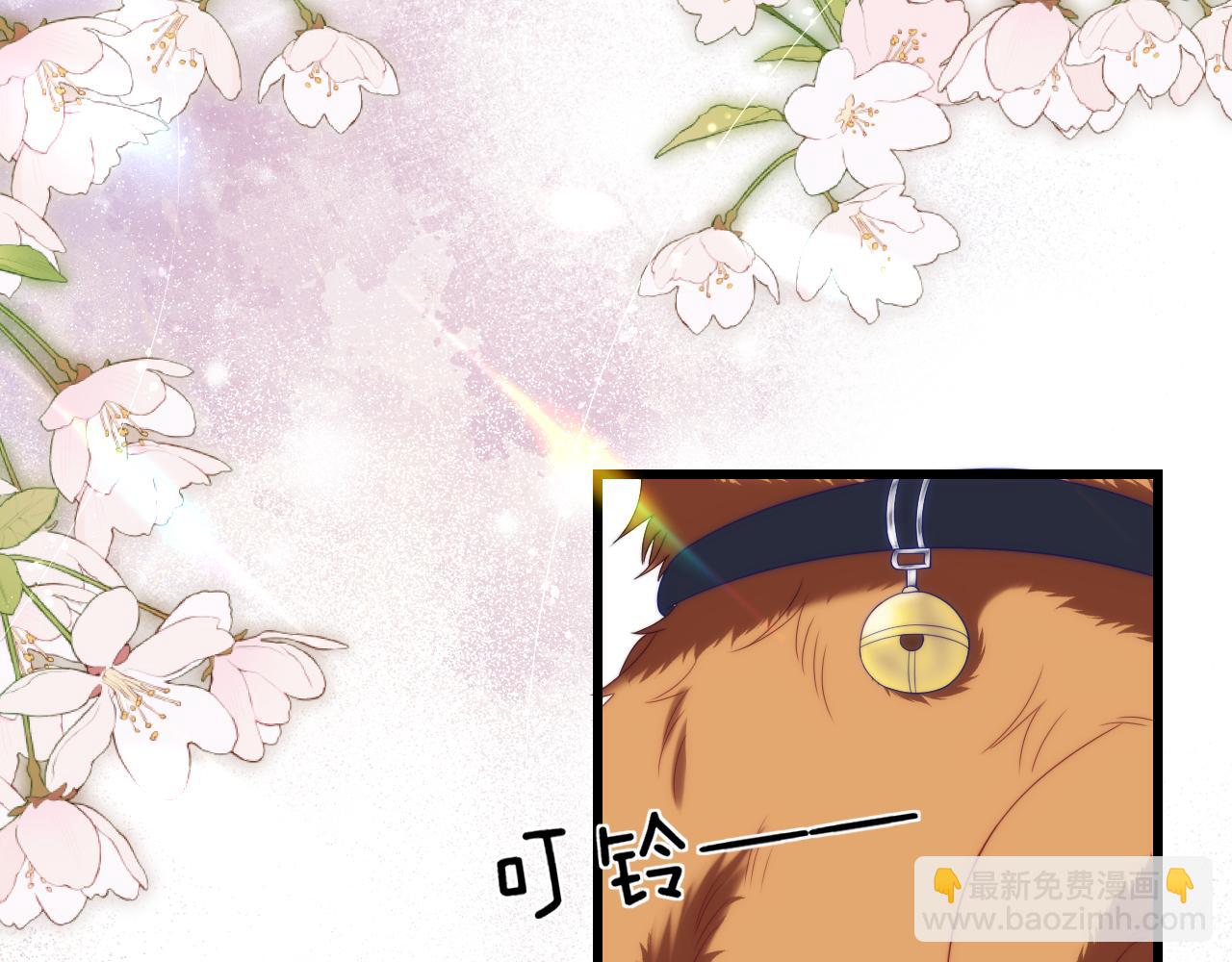 第58话 猫猫一直都很可爱(1/2)-第59话