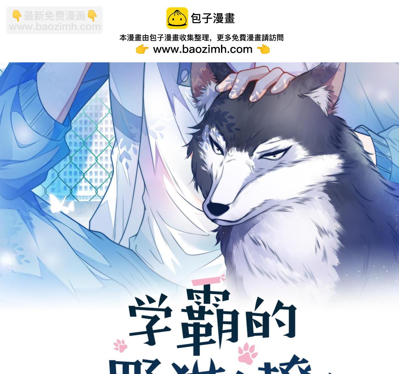 第80话 猫的爱很简单(1/2)-第81话