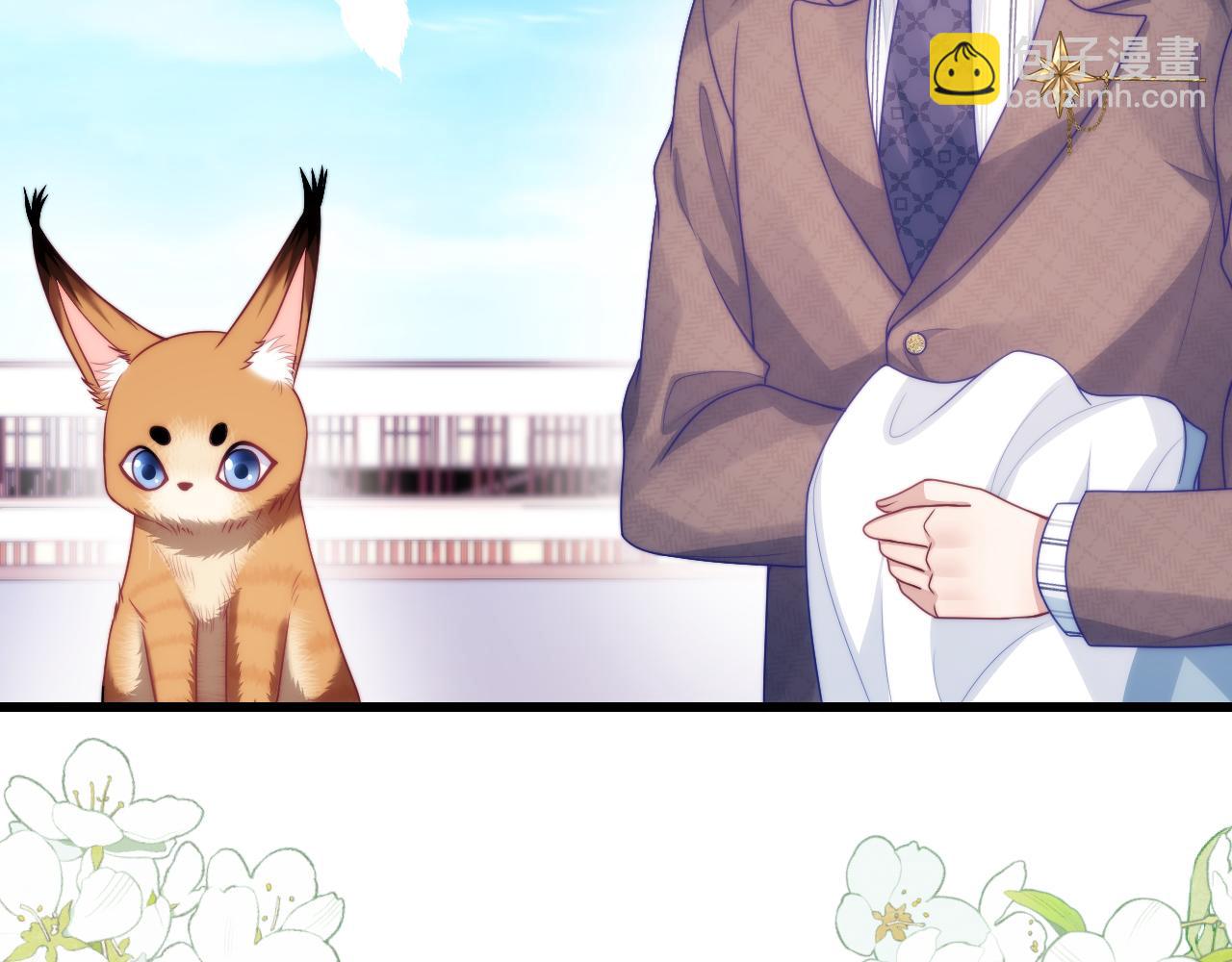 第80话 猫的爱很简单(1/2)-第81话