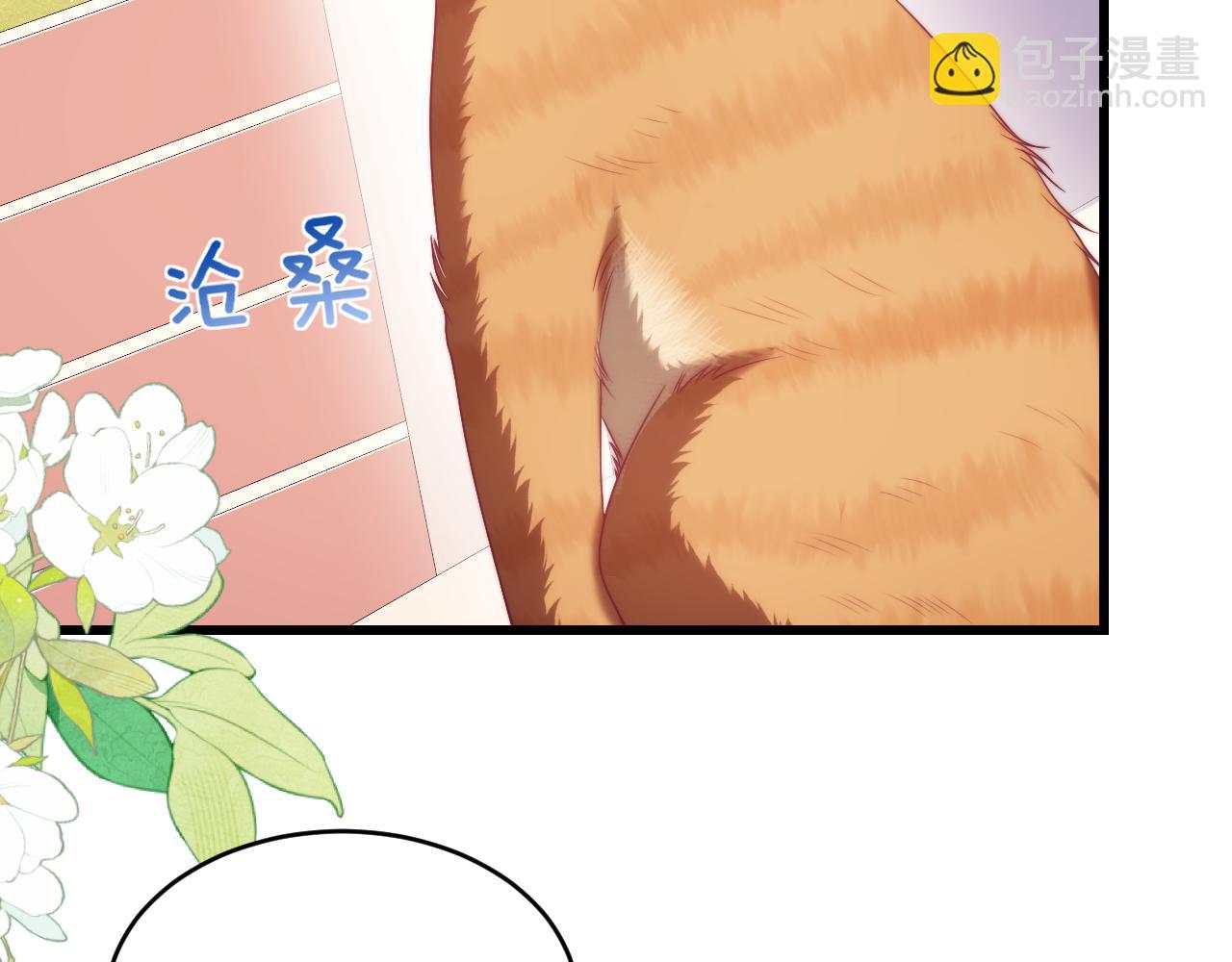 第80话 猫的爱很简单(1/2)-第81话