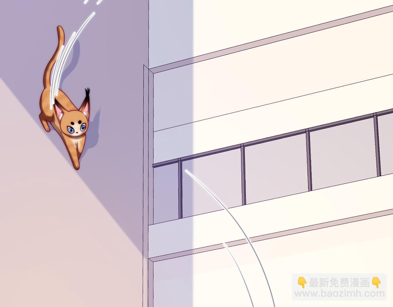 第80话 猫的爱很简单(1/2)-第81话