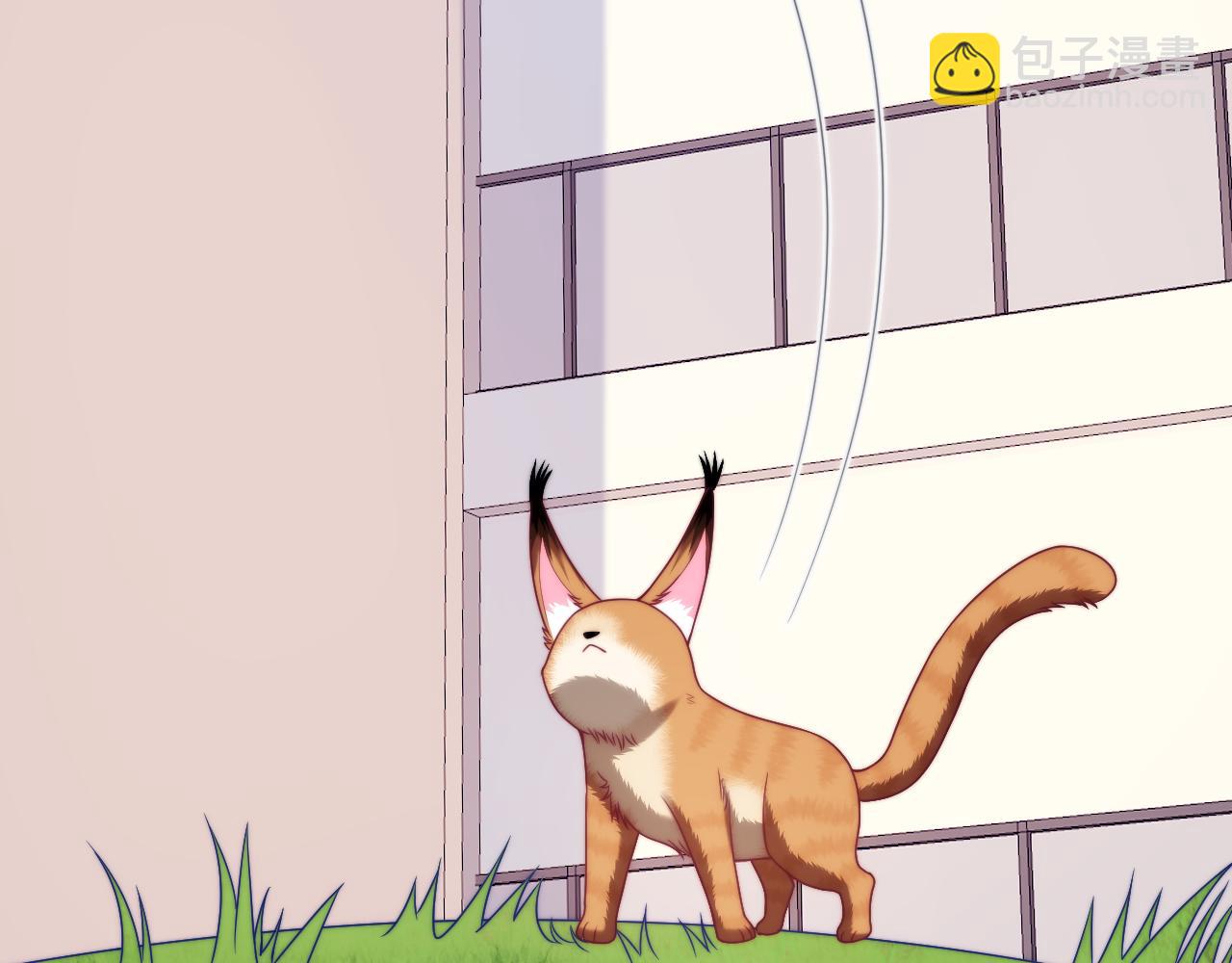 第80话 猫的爱很简单(1/2)-第81话