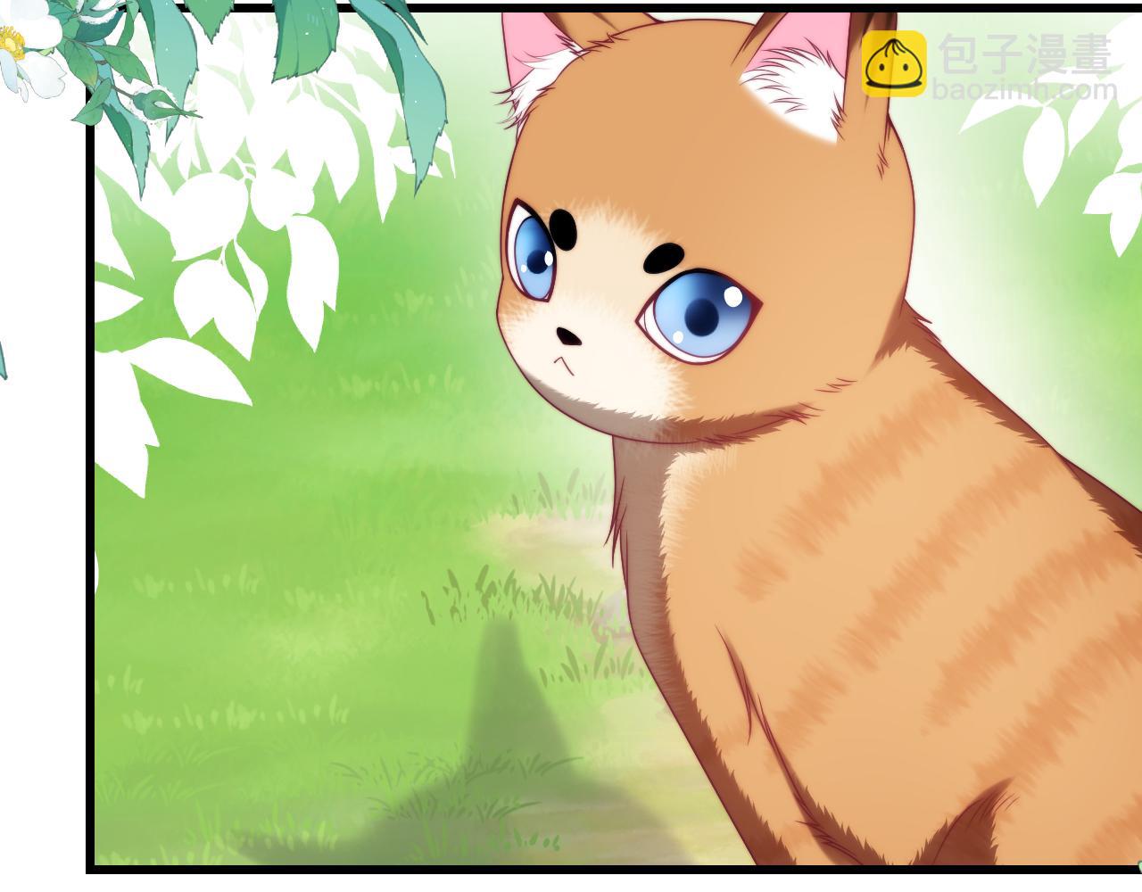 第80话 猫的爱很简单(1/2)-第81话