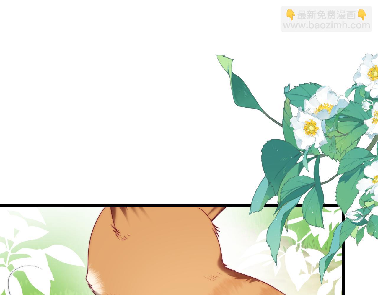 第80话 猫的爱很简单(1/2)-第81话