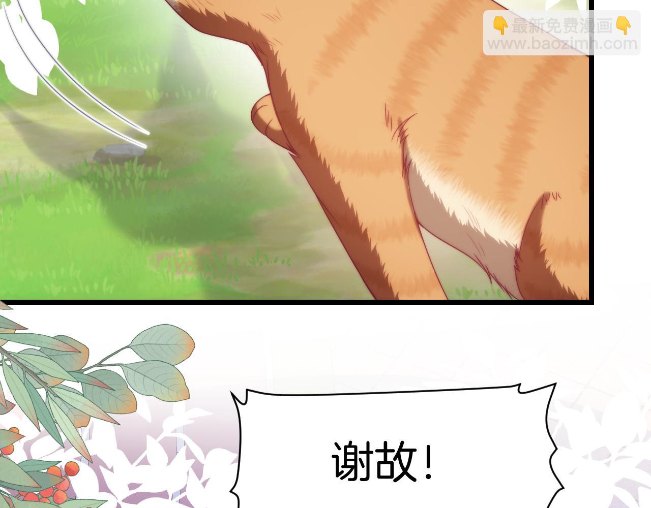 第80话 猫的爱很简单(1/2)-第81话