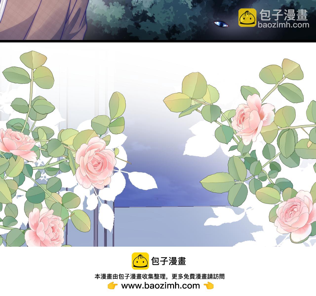 第80话 猫的爱很简单(1/2)-第81话